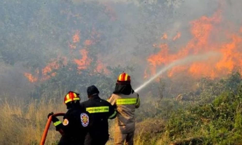 Φωτιά στη Βοιωτία - Ισχυρές πυροσβεστικές δυνάμεις